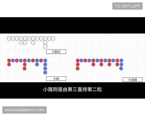 如何利用百家乐小路纸进行科学分析提升你的百家乐胜率技巧指南
